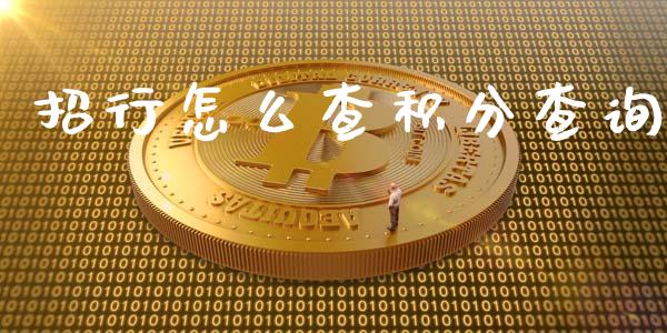 招行怎么查积分查询_https://www.gongyisiwang.com_股指期货交易手续费_第1张