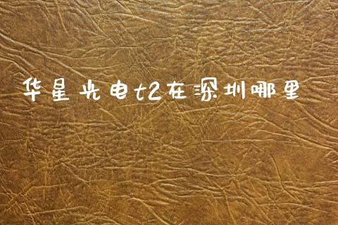 华星光电t2在深圳哪里_https://www.gongyisiwang.com_广发期货手续费_第1张