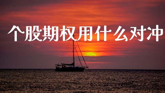 个股期权用什么对冲_https://www.gongyisiwang.com_恒指期货_第1张