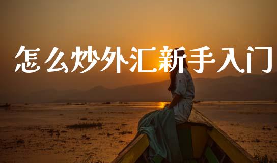 怎么炒外汇新手入门_https://www.gongyisiwang.com_股指期货_第1张