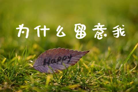 为什么留意我_https://www.gongyisiwang.com_股指期货_第1张