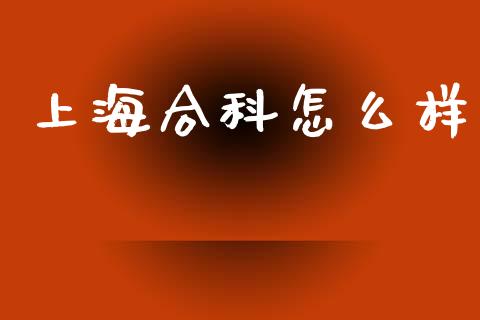 上海合科怎么样_https://www.gongyisiwang.com_恒指期货_第1张