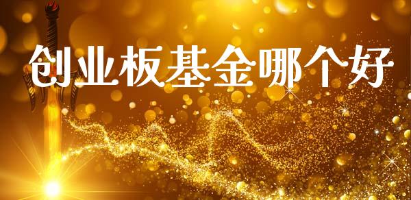 创业板基金哪个好_https://www.gongyisiwang.com_原油期货_第1张