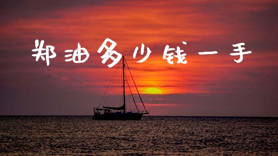 郑油多少钱一手_https://www.gongyisiwang.com_期货公司手续费排名_第1张