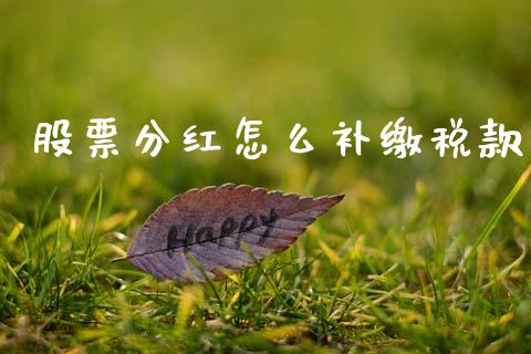 股票分红怎么补缴税款_https://www.gongyisiwang.com_股指期货交易手续费_第1张
