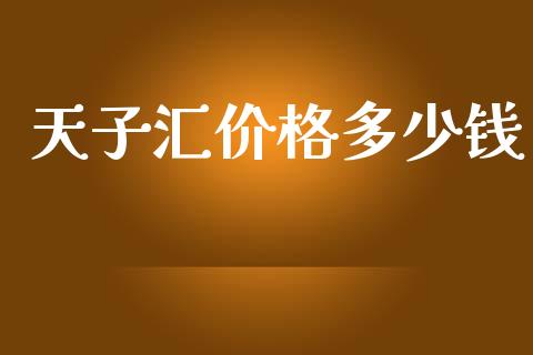 天子汇价格多少钱_https://www.gongyisiwang.com_焦炭期货手续费_第1张