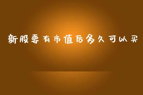 新股要有市值后多久可以买_https://www.gongyisiwang.com_道指_第1张