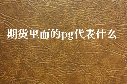 期货里面的pg代表什么_https://www.gongyisiwang.com_焦炭期货手续费_第1张