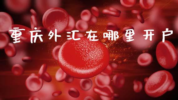 重庆外汇在哪里开户_https://www.gongyisiwang.com_道指_第1张