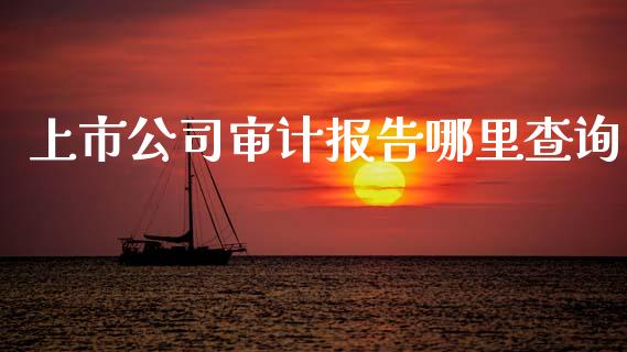 上市公司审计报告哪里查询_https://www.gongyisiwang.com_股指期货_第1张