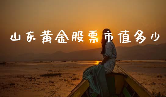 山东黄金股票市值多少_https://www.gongyisiwang.com_原油期货_第1张