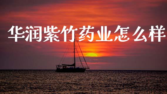 华润紫竹药业怎么样_https://www.gongyisiwang.com_股指期货交易手续费_第1张