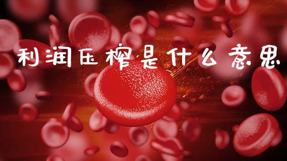 利润压榨是什么意思_https://www.gongyisiwang.com_道指_第1张