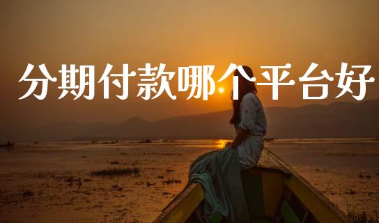 分期付款哪个平台好_https://www.gongyisiwang.com_期货公司手续费排名_第1张