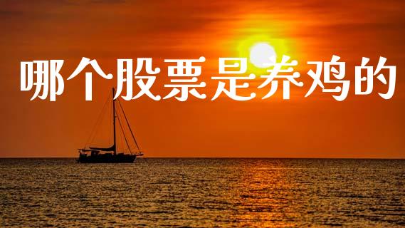 哪个股票是养鸡的_https://www.gongyisiwang.com_焦炭期货手续费_第1张