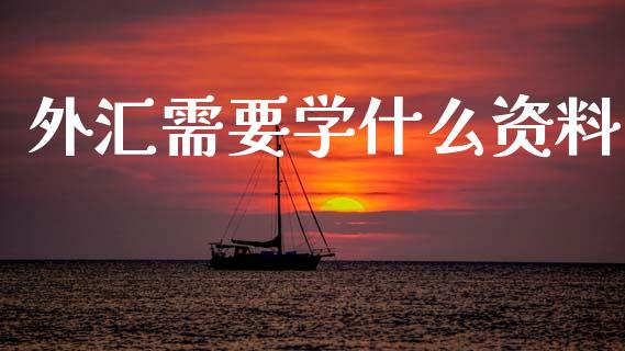 外汇需要学什么资料_https://www.gongyisiwang.com_恒指期货_第1张