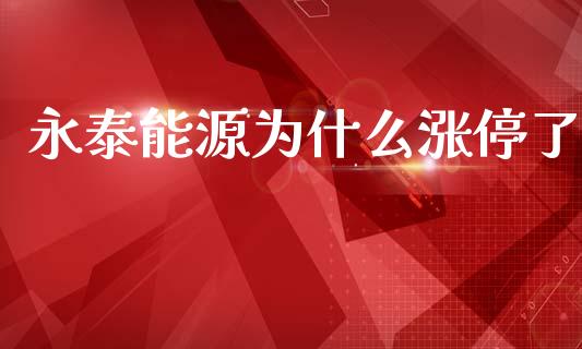 永泰能源为什么涨停了_https://www.gongyisiwang.com_广发期货手续费_第1张