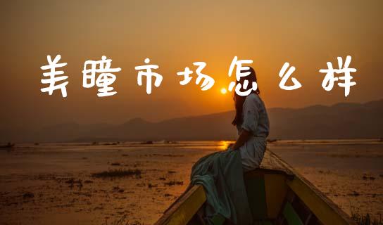 美瞳市场怎么样_https://www.gongyisiwang.com_期货公司手续费排名_第1张