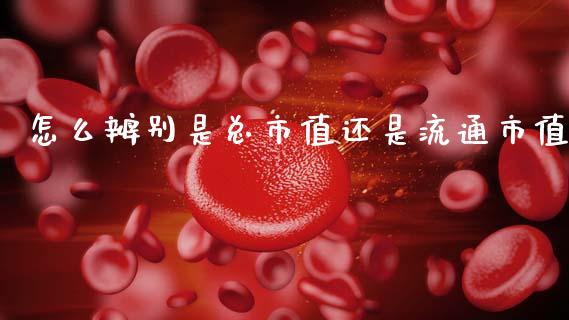怎么辨别是总市值还是流通市值_https://www.gongyisiwang.com_股指期货_第1张