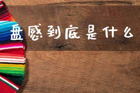 盘感到底是什么_https://www.gongyisiwang.com_广发期货手续费_第1张