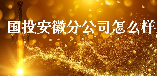 国投安徽分公司怎么样_https://www.gongyisiwang.com_恒指期货_第1张