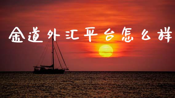 金道外汇平台怎么样_https://www.gongyisiwang.com_原油期货_第1张
