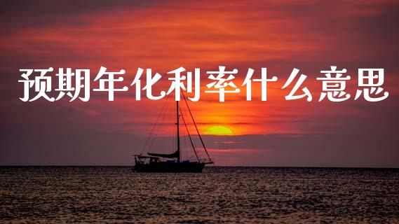 预期年化利率什么意思_https://www.gongyisiwang.com_恒指期货_第1张