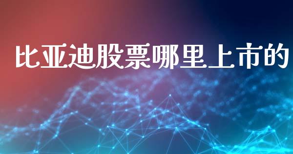 比亚迪股票哪里上市的_https://www.gongyisiwang.com_焦炭期货手续费_第1张