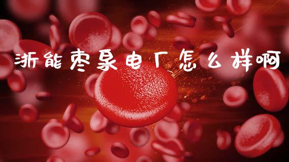 浙能枣泉电厂怎么样啊_https://www.gongyisiwang.com_广发期货手续费_第1张