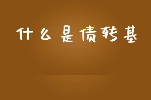 什么是债转基_https://www.gongyisiwang.com_股指期货交易手续费_第1张