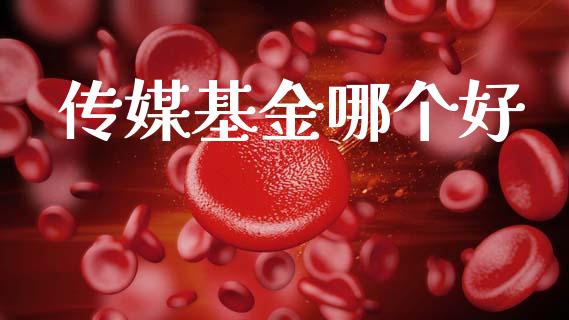 传媒基金哪个好_https://www.gongyisiwang.com_焦炭期货手续费_第1张