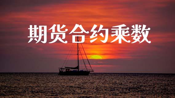 期货合约乘数_https://www.gongyisiwang.com_恒指期货_第1张