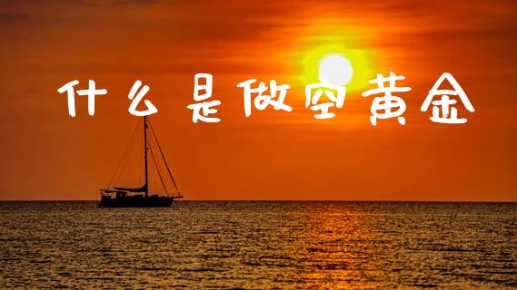 什么是做空黄金_https://www.gongyisiwang.com_焦炭期货手续费_第1张
