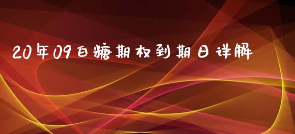 20年09白糖期权到期日详解_https://www.gongyisiwang.com_恒指期货_第1张