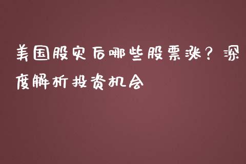 美国股灾后哪些股票涨？深度解析投资机会_https://www.gongyisiwang.com_期货公司手续费排名_第1张