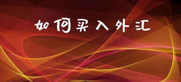 如何买入外汇_https://www.gongyisiwang.com_期货公司手续费排名_第1张