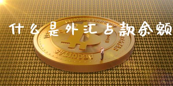 什么是外汇占款余额_https://www.gongyisiwang.com_股指期货_第1张