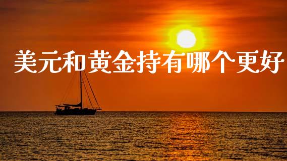 美元和黄金持有哪个更好_https://www.gongyisiwang.com_焦炭期货手续费_第1张