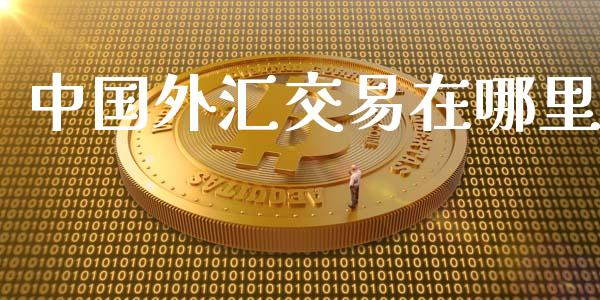 中国外汇交易在哪里_https://www.gongyisiwang.com_期货公司手续费排名_第1张