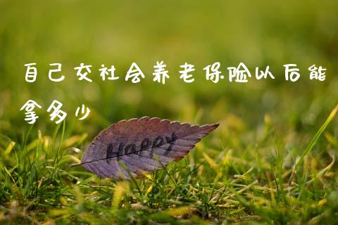 自己交社会养老保险以后能拿多少_https://www.gongyisiwang.com_股指期货交易手续费_第1张
