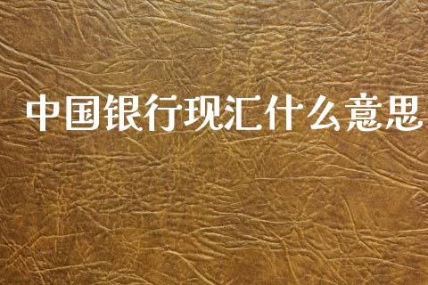 中国银行现汇什么意思_https://www.gongyisiwang.com_股指期货交易手续费_第1张
