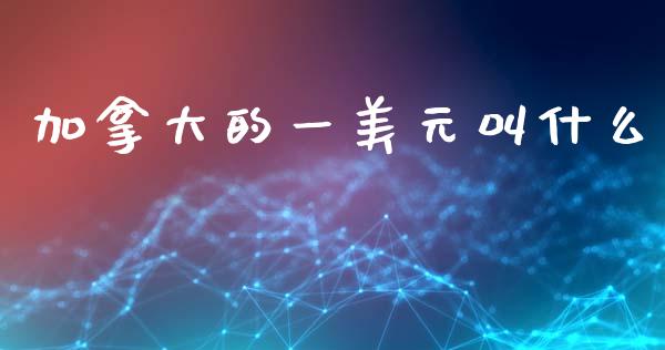 加拿大的一美元叫什么_https://www.gongyisiwang.com_焦炭期货手续费_第1张