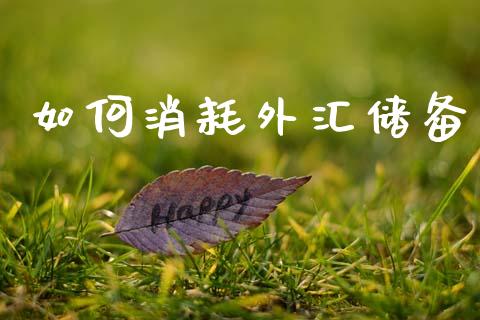 如何消耗外汇储备_https://www.gongyisiwang.com_道指_第1张