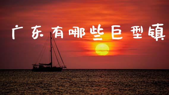 广东有哪些巨型镇_https://www.gongyisiwang.com_股指期货交易手续费_第1张