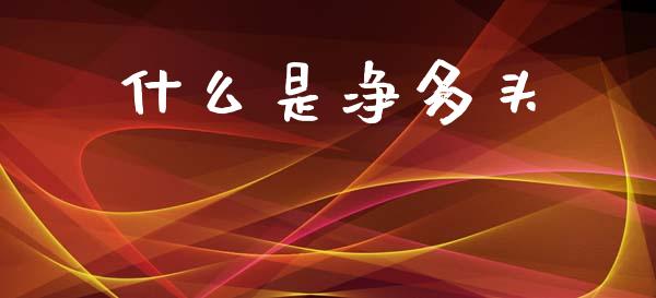 什么是净多头_https://www.gongyisiwang.com_原油期货_第1张