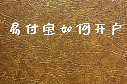 易付宝如何开户_https://www.gongyisiwang.com_股指期货_第1张