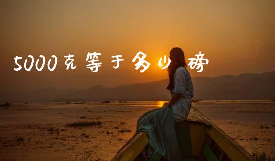 5000克等于多少 磅_https://www.gongyisiwang.com_期货公司手续费排名_第1张