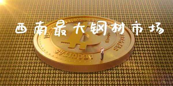 西南最大钢材市场_https://www.gongyisiwang.com_股指期货交易手续费_第1张