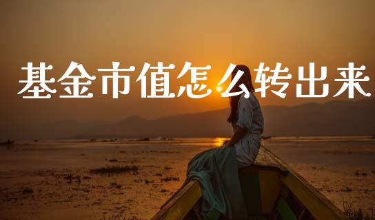 基金市值怎么转出来_https://www.gongyisiwang.com_期货公司手续费排名_第1张