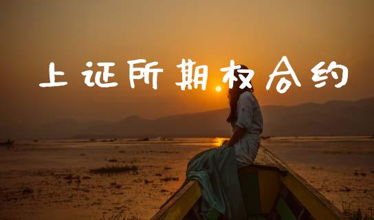 上证所期权合约_https://www.gongyisiwang.com_股指期货交易手续费_第1张